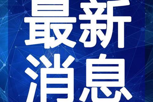 泰安猛姐爆料视频最新,揭秘惊人内幕,引发社会热议