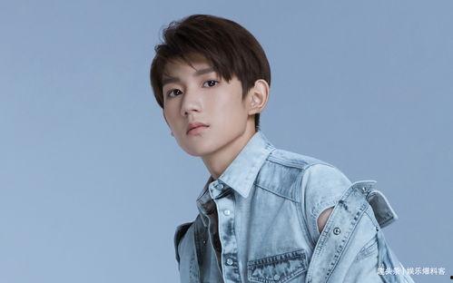 爆料网红追王源的视频,揭秘明星与粉丝的神秘互动  第2张 爆料网红追王源的视频,揭秘明星与粉丝的神秘互动  第2张